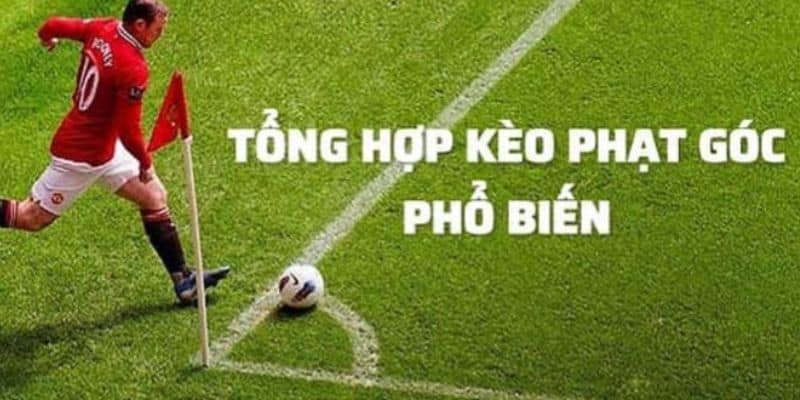 Các loại kèo được nhiều người sử dụng ở thời điểm hiện tại