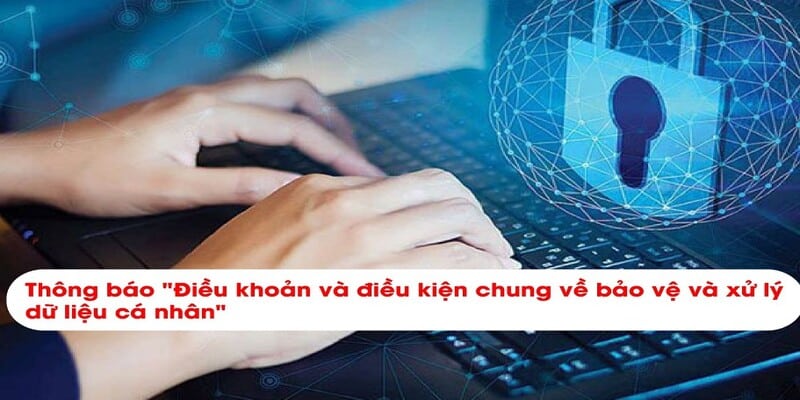 Đảm bảo tuân thủ điều khoản khi chơi tại 99OK